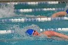 Women's Swimming & Diving  Wheaton College Women’s Swimming & Diving vs Mount Holyoke College. - Photo by Keith Nordstrom : Wheaton, Swimming & Diving
